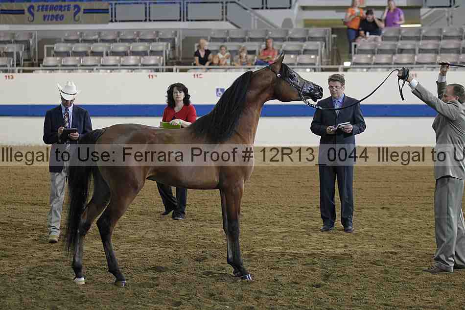 Proof 12r13_0044