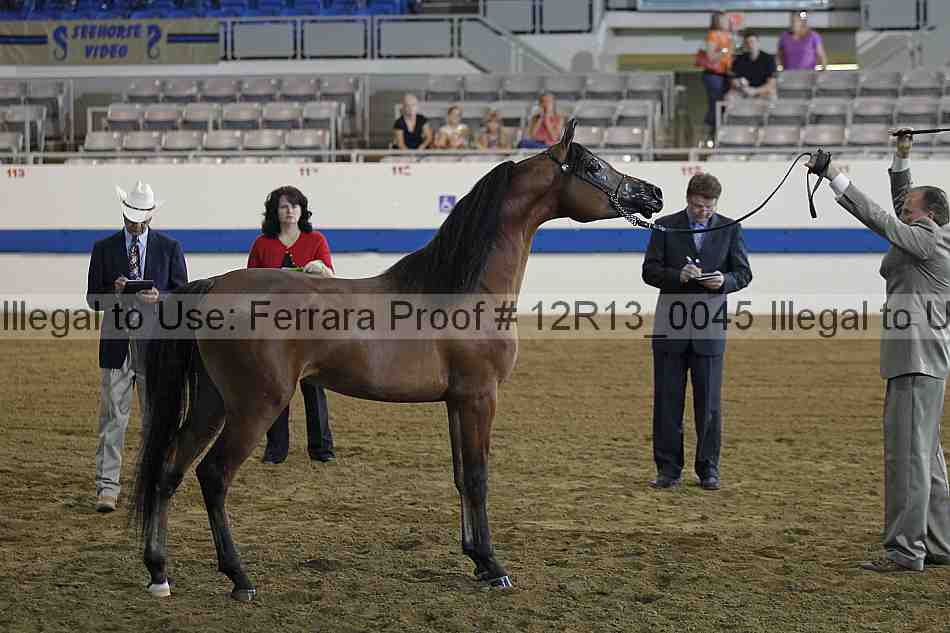 Proof 12r13_0045