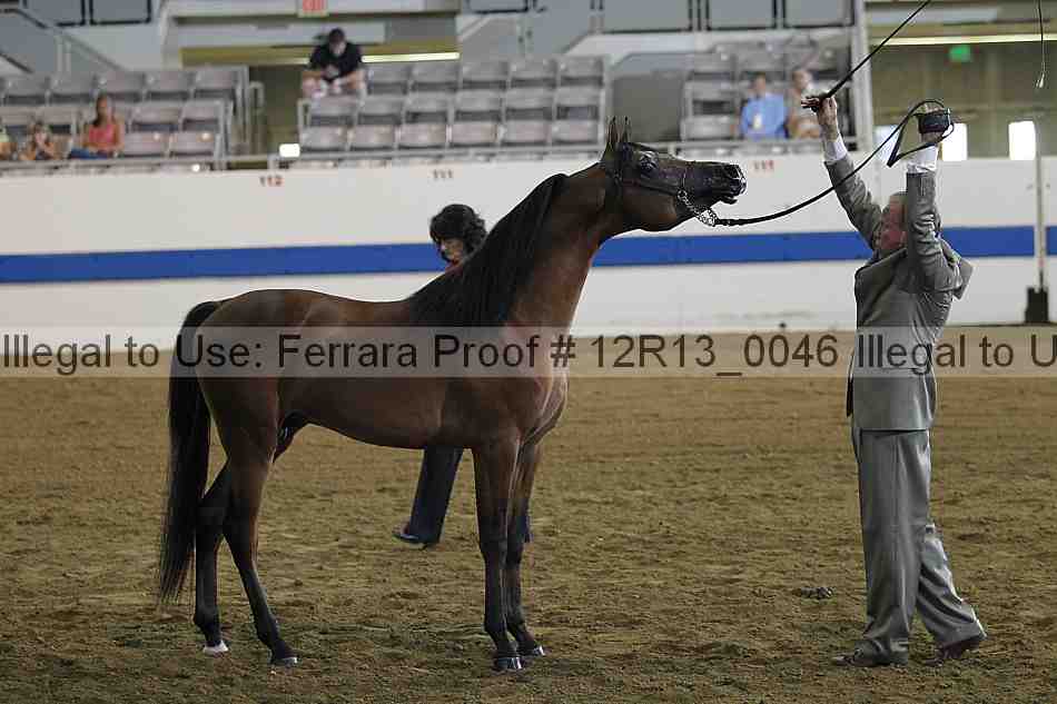 Proof 12r13_0046