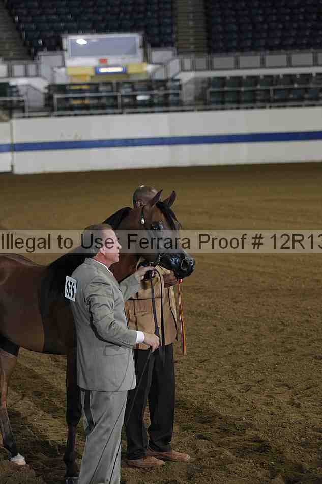 Proof 12r13_0048
