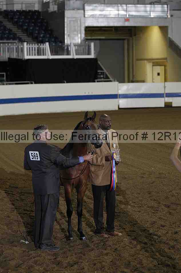 Proof 12r13_0051