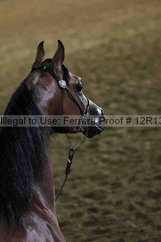 Proof 12r13_0054