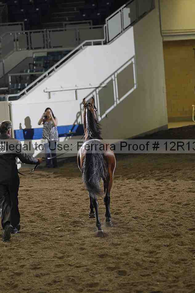 Proof 12r13_0055