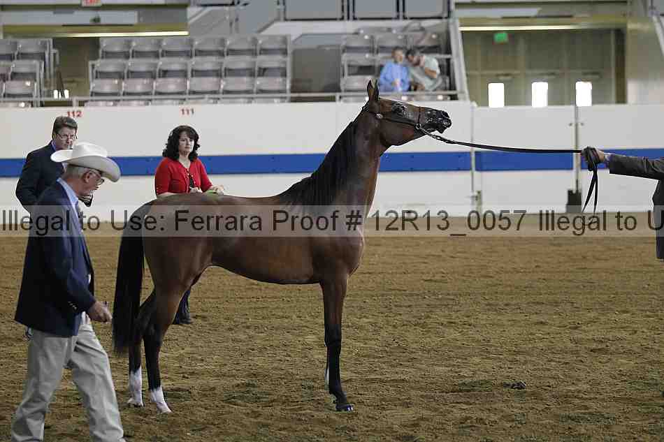 Proof 12r13_0057