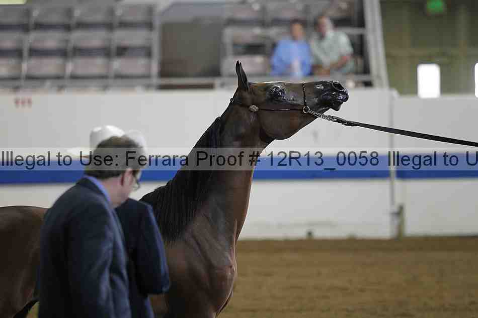 Proof 12r13_0058