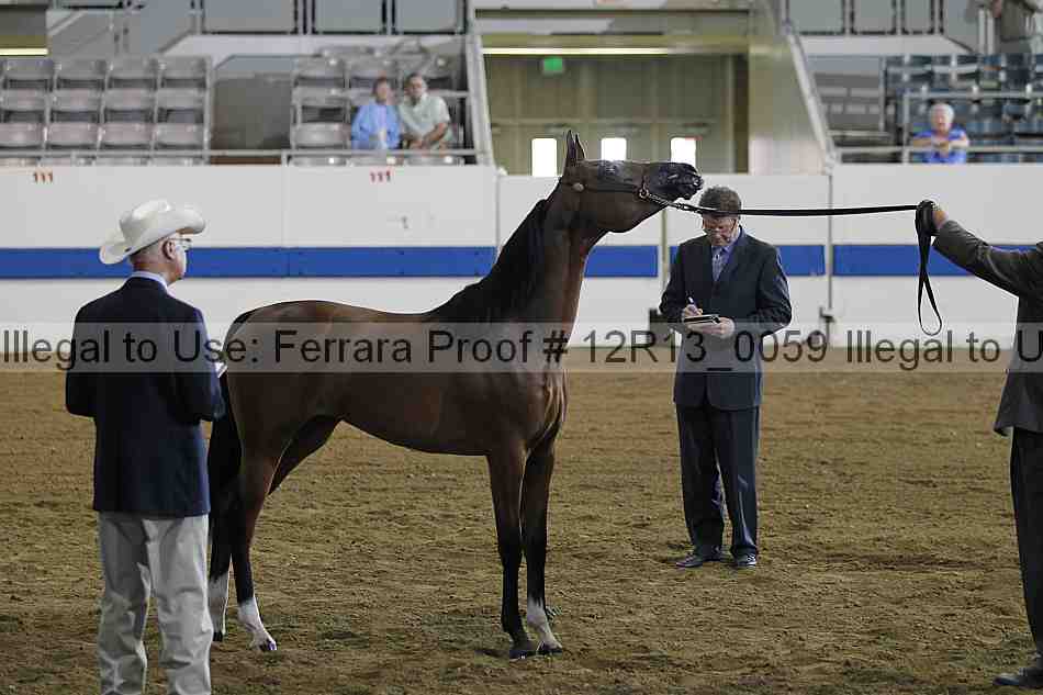 Proof 12r13_0059