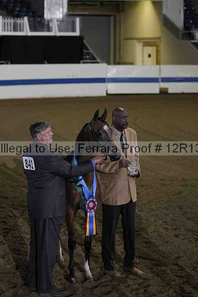 Proof 12r13_0063