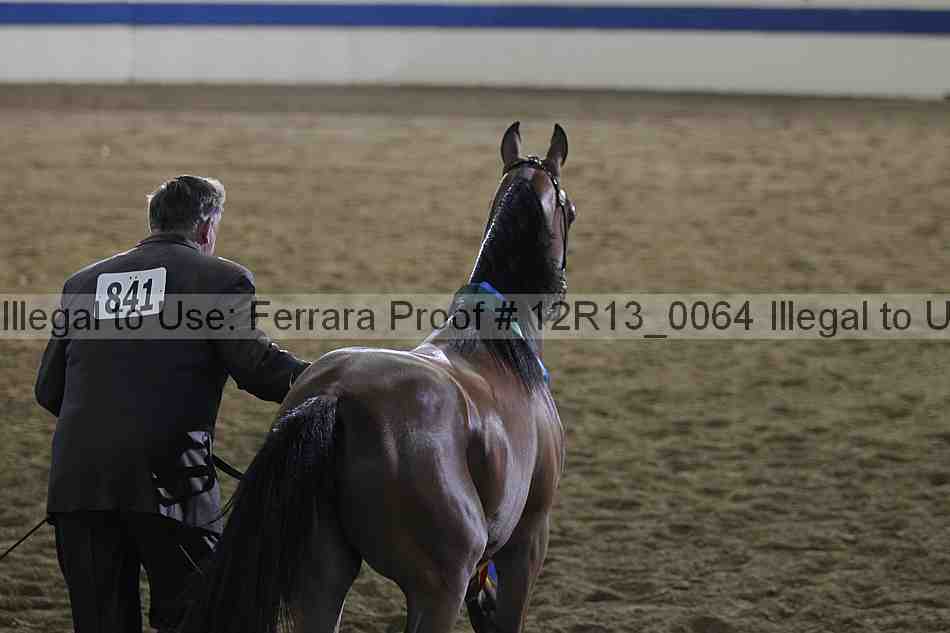 Proof 12r13_0064