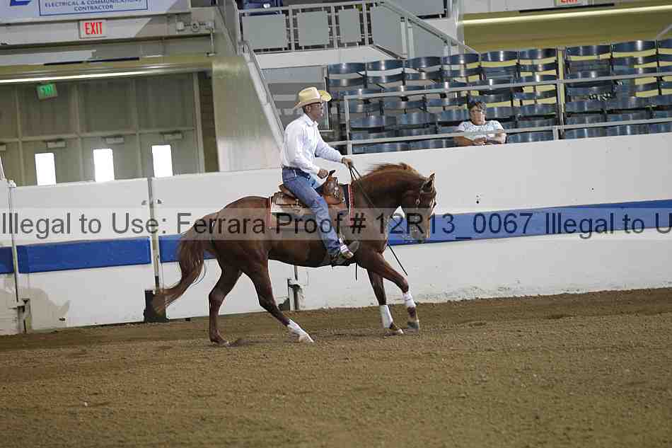 Proof 12r13_0067