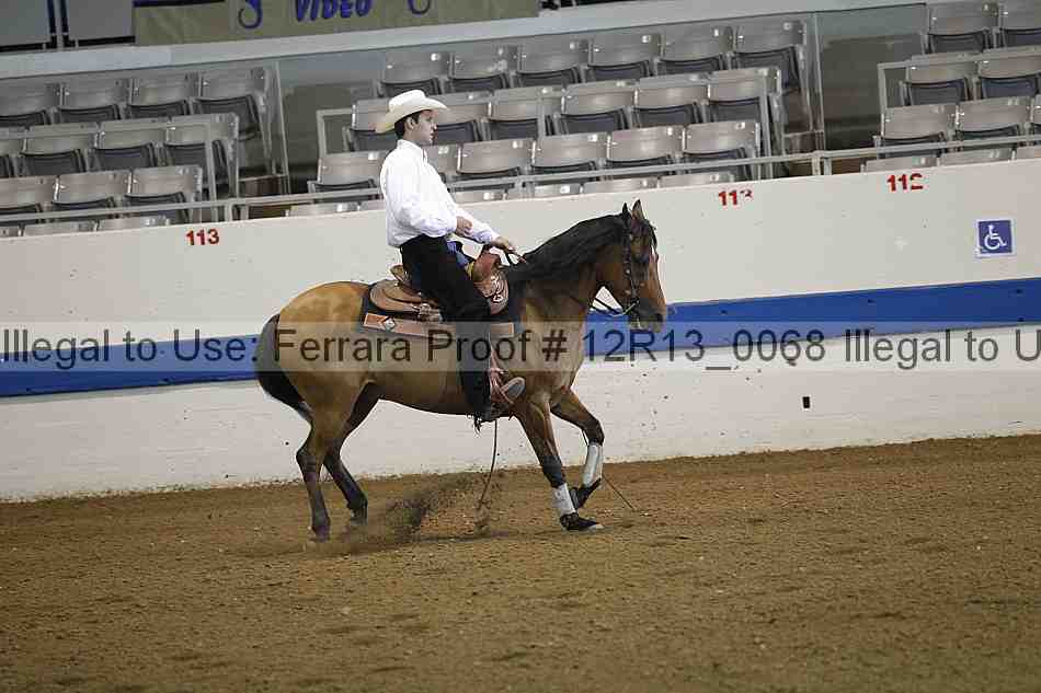Proof 12r13_0068
