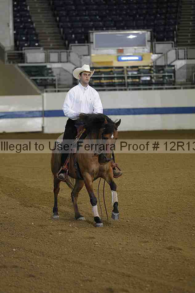 Proof 12r13_0069
