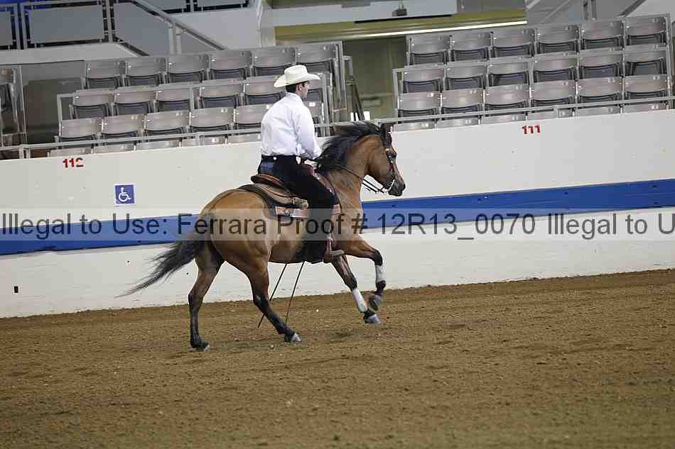 Proof 12r13_0070