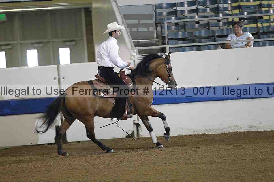 Proof 12r13_0071