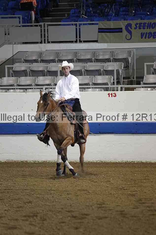Proof 12r13_0073