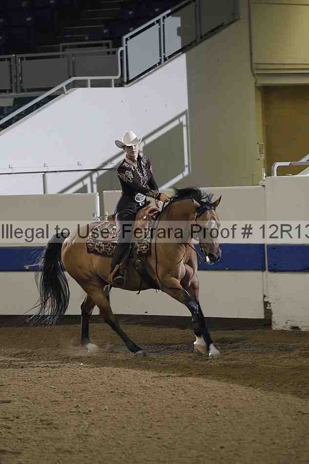 Proof 12r13_0083