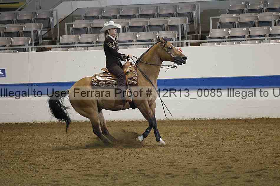 Proof 12r13_0085