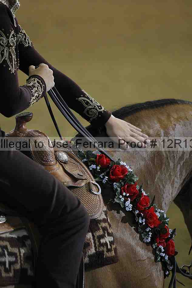 Proof 12r13_0090