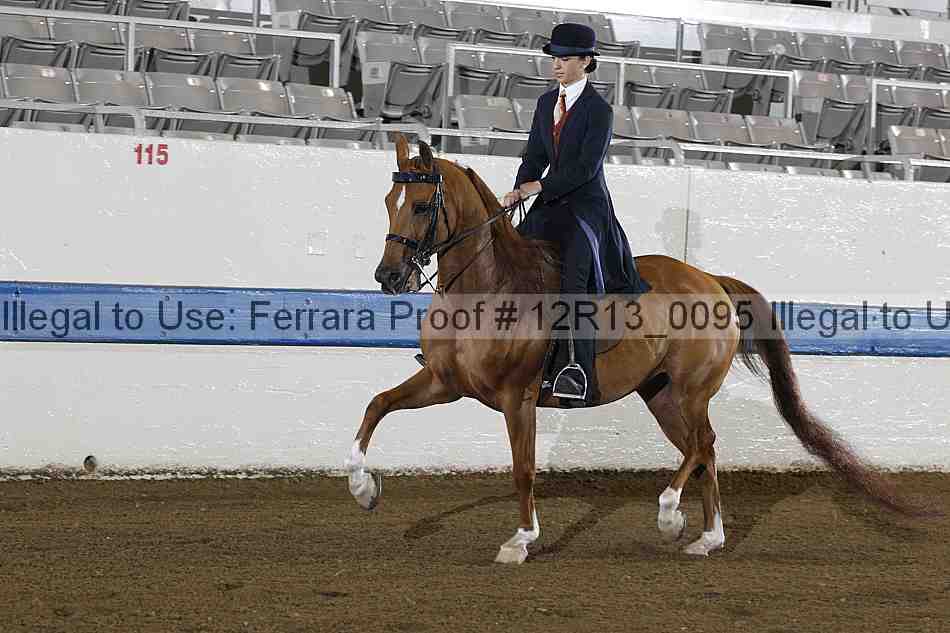 Proof 12r13_0095