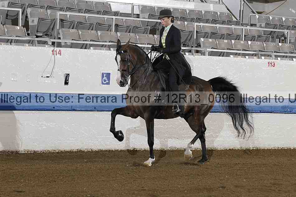 Proof 12r13_0096