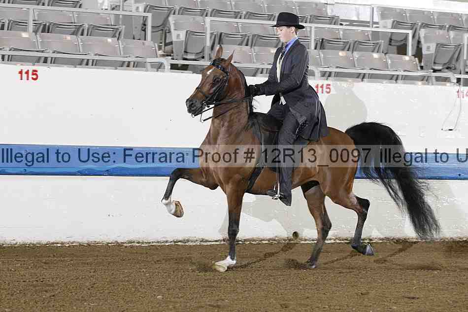 Proof 12r13_0097