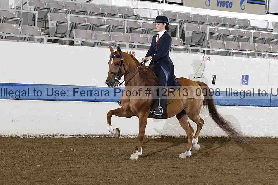 Proof 12r13_0098
