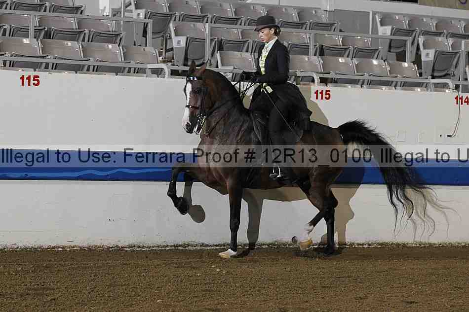 Proof 12r13_0100