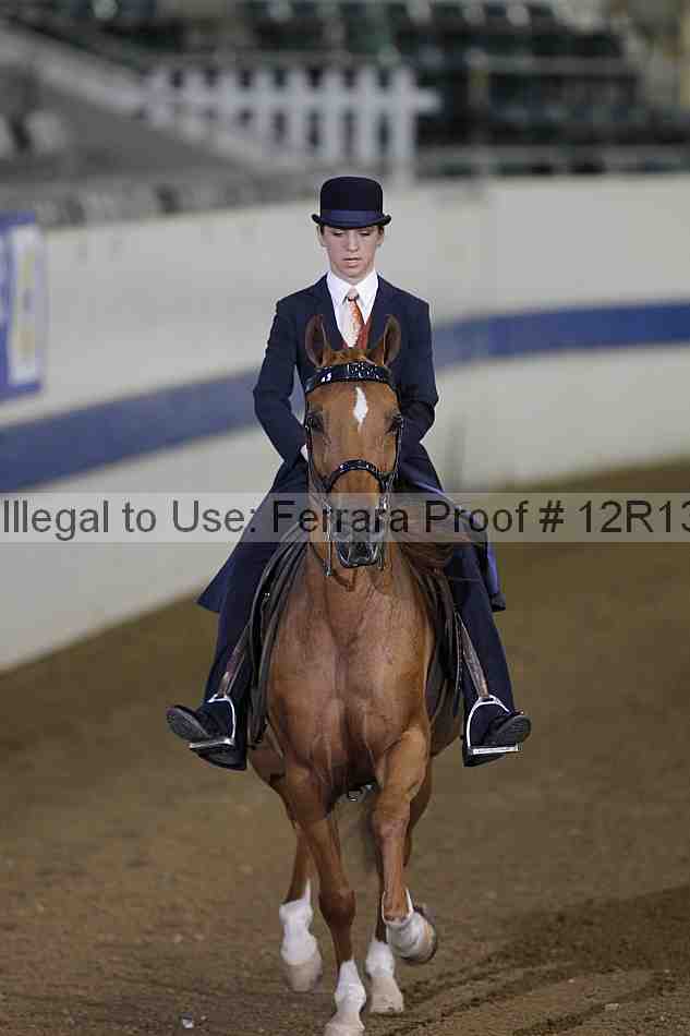Proof 12r13_0101