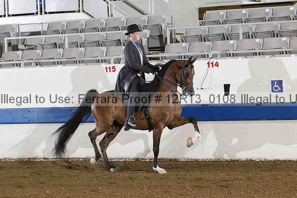 Proof 12r13_0108
