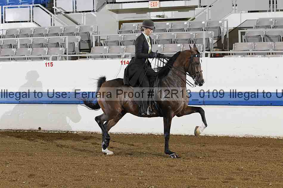 Proof 12r13_0109