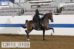 12r13_0109 proof