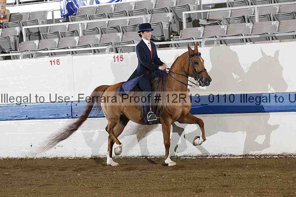 Proof 12r13_0110