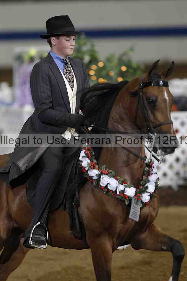 Proof 12r13_0117