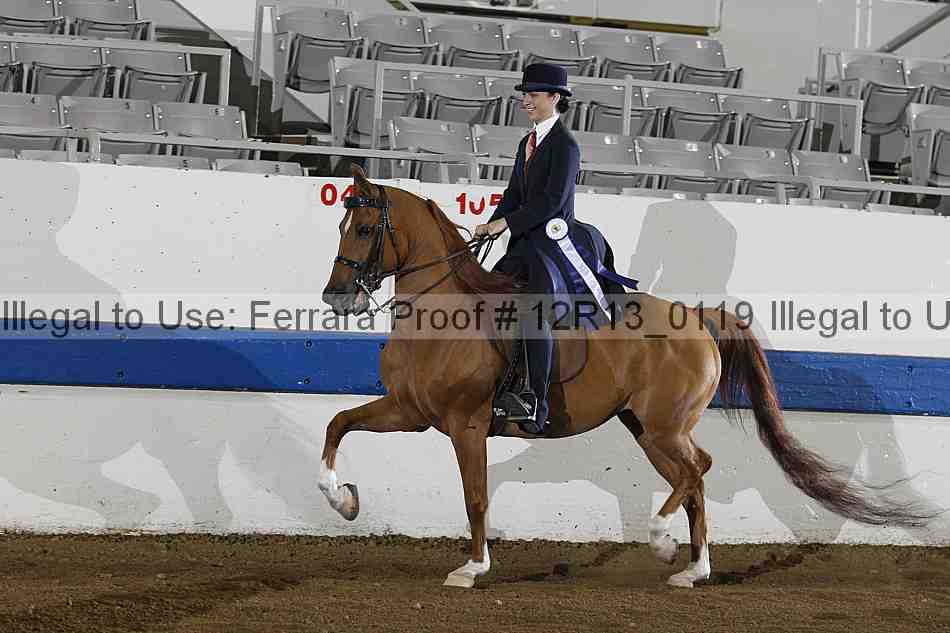 Proof 12r13_0119