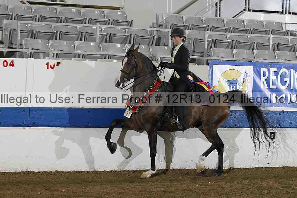 Proof 12r13_0124