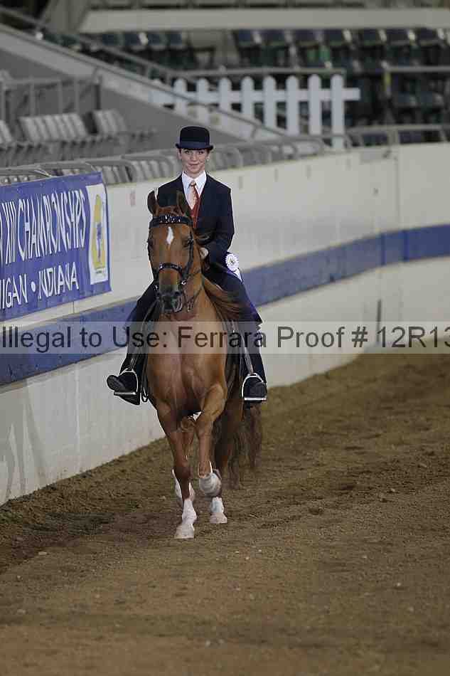 Proof 12r13_0125