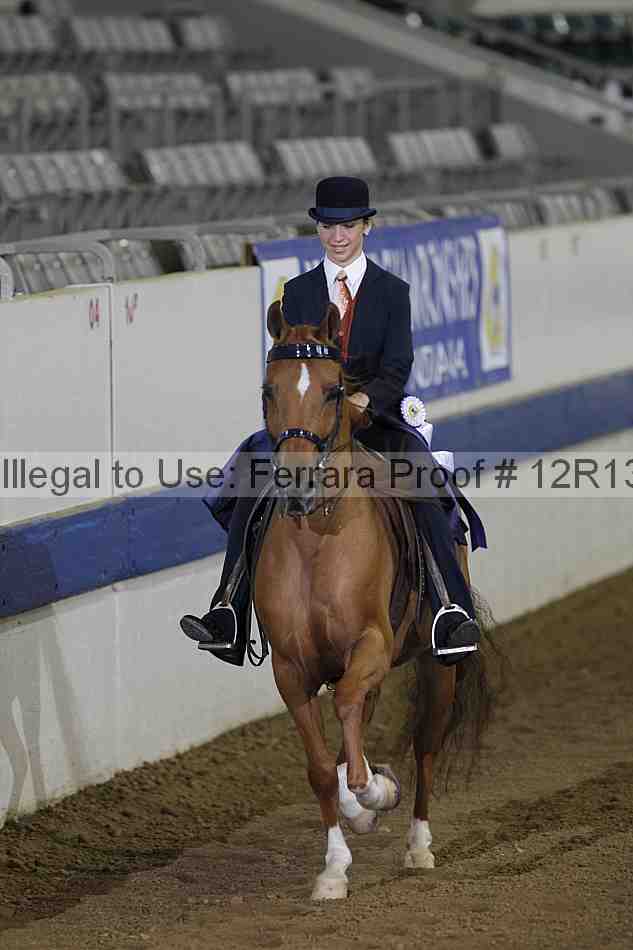 Proof 12r13_0126