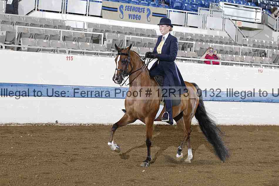Proof 12r13_0132