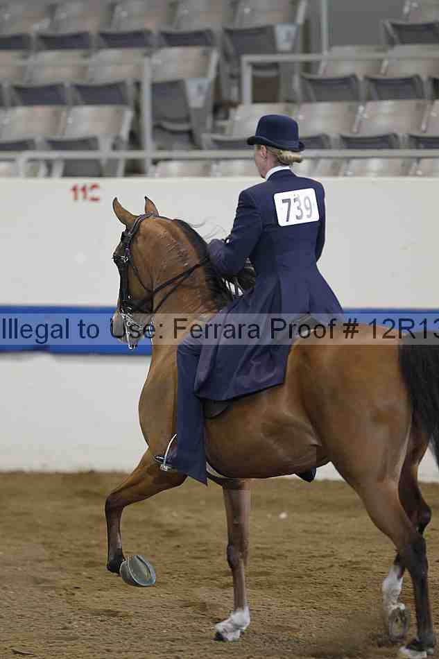 Proof 12r13_0133