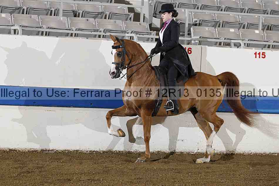 Proof 12r13_0135