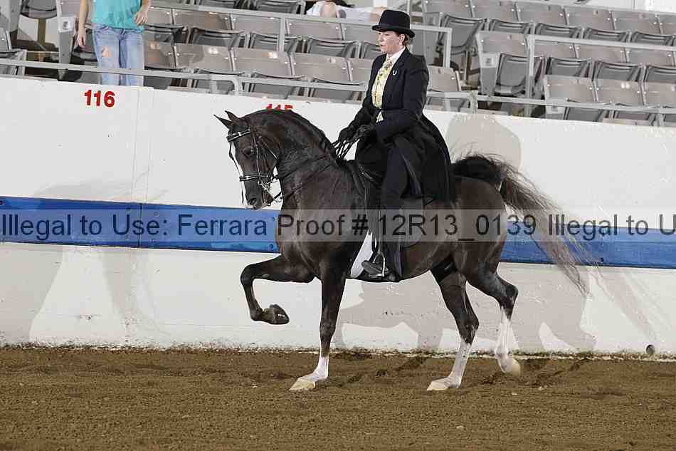 Proof 12r13_0139