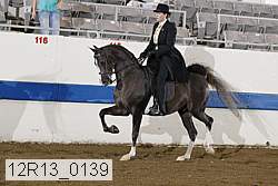 12r13_0139 proof