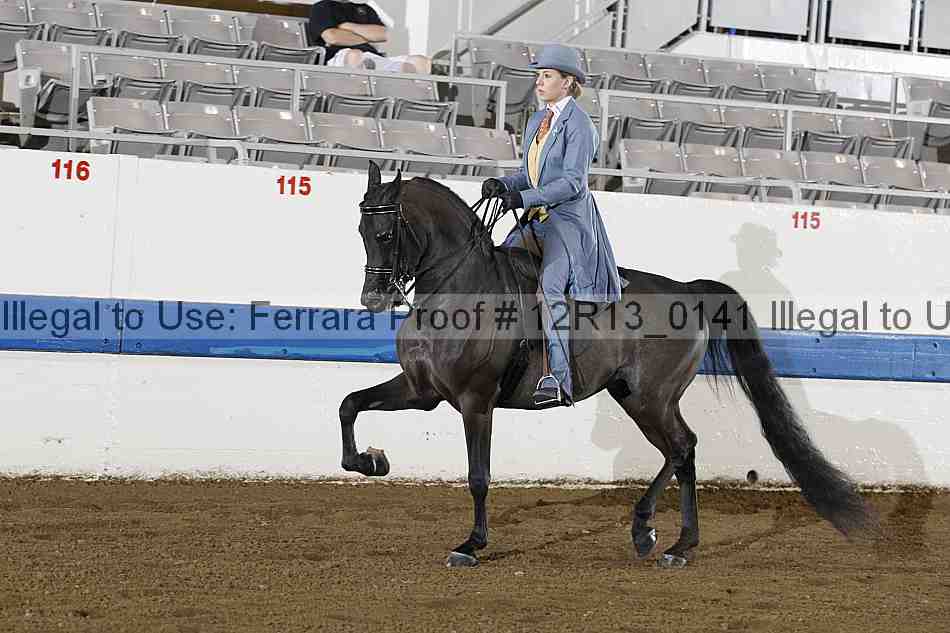 Proof 12r13_0141