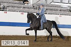 12r13_0141 proof