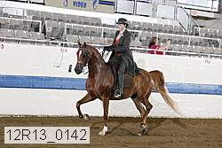 12r13_0142 proof