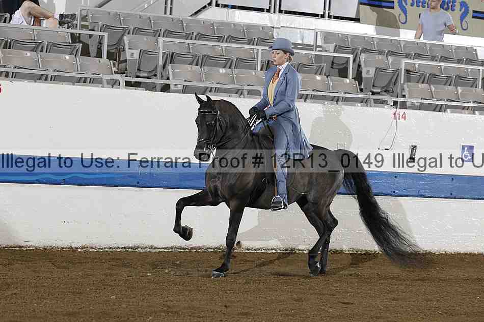 Proof 12r13_0149