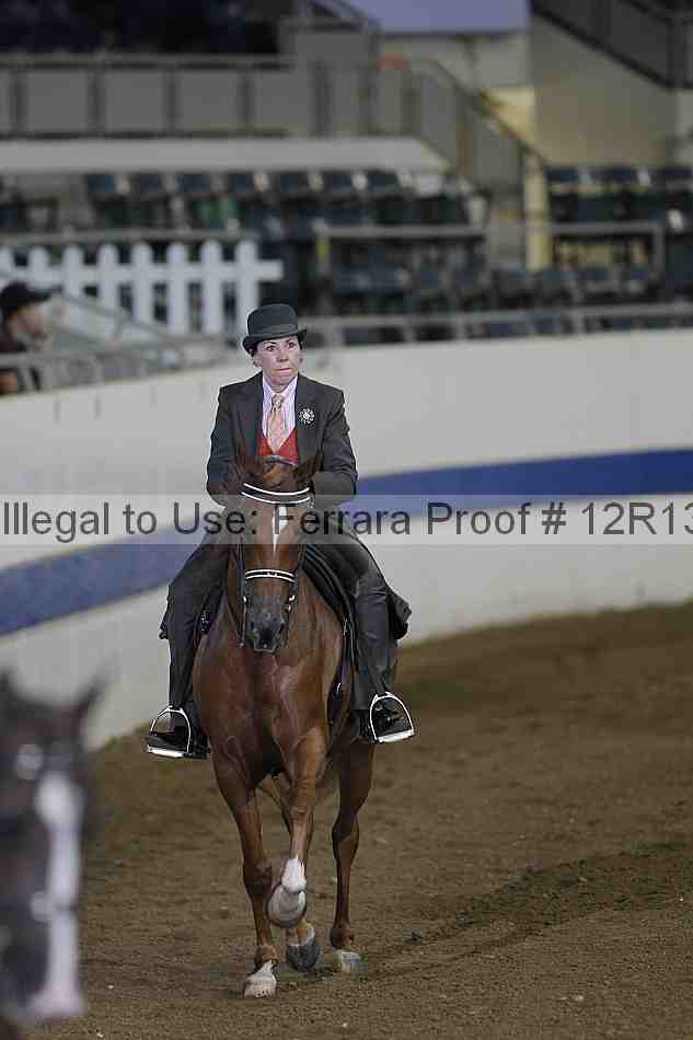 Proof 12r13_0155
