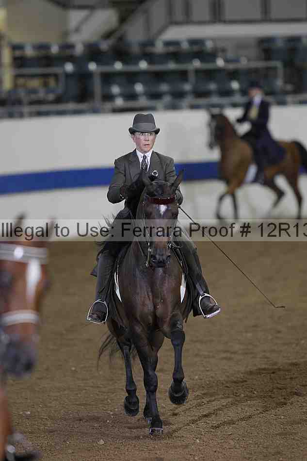 Proof 12r13_0157