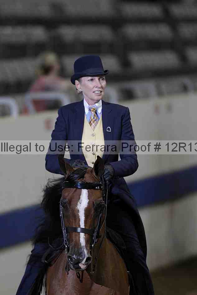 Proof 12r13_0160