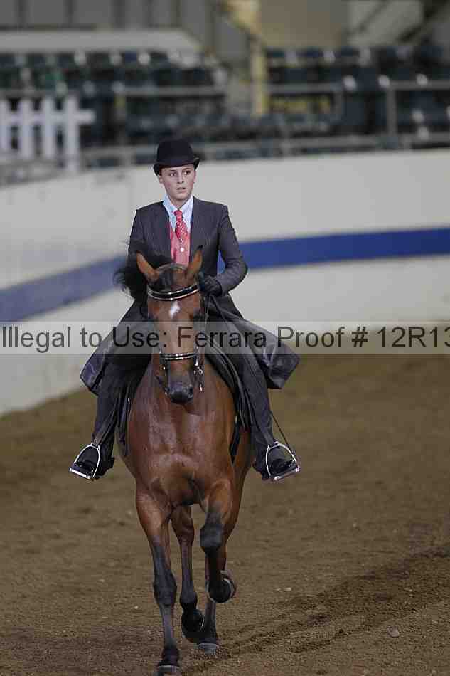 Proof 12r13_0162