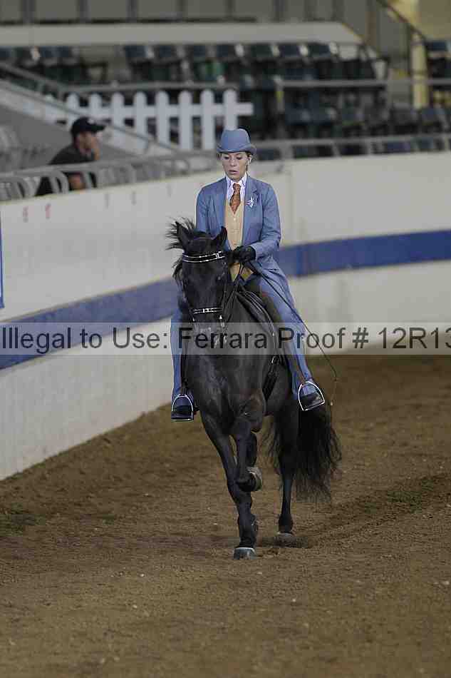 Proof 12r13_0164